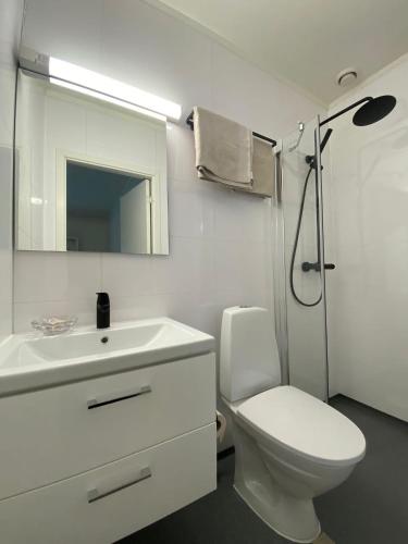 a white bathroom with a toilet and a sink at Gardermoen House in Gardermoen