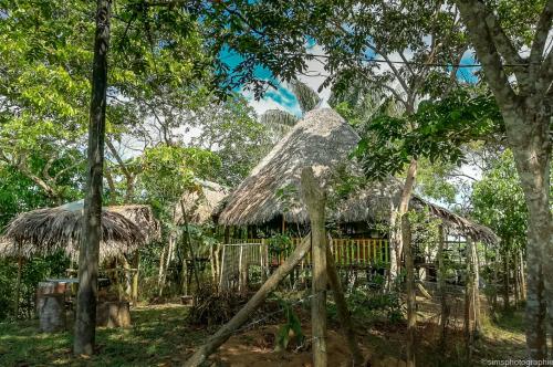 małą chatę z dachem krytym strzechą w lesie w obiekcie MALOKA LODGE w mieście Iquitos