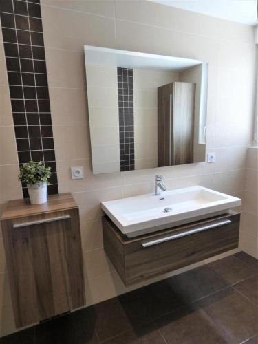 une salle de bain avec un lavabo et un miroir dans l'établissement Le treuilh, à Orx