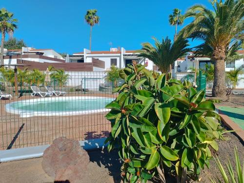 Sunny bungalow with garden #1