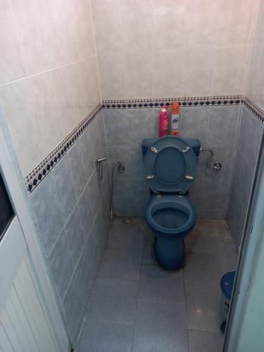 a bathroom with a blue toilet in a stall at Boisbleu villa in Flic-en-Flac