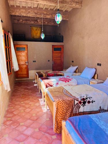 a row of beds in a room with lights at Camping auberge palmeraie d'amezrou in Zagora