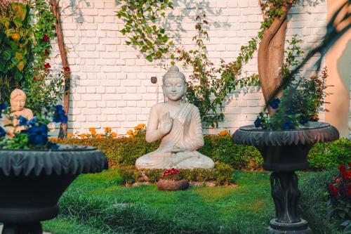 Un jardín fuera de The Misty Bliss Cottages and Homestay