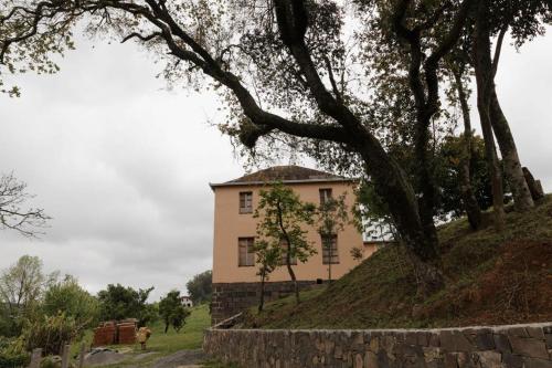 a house on top of a hill with a tree at Cabanas Vinsanto in Bento Gonçalves