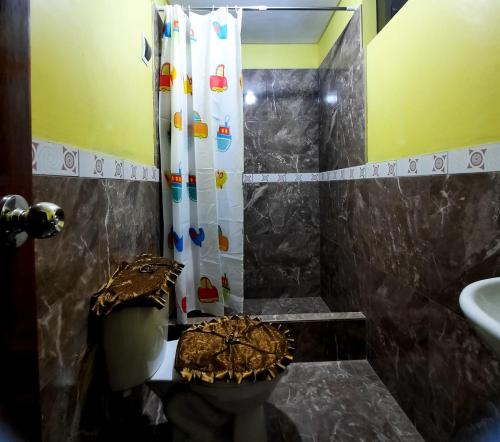 a bathroom with a shower with a toilet and a sink at Hostal Kollarón in Chachapoyas