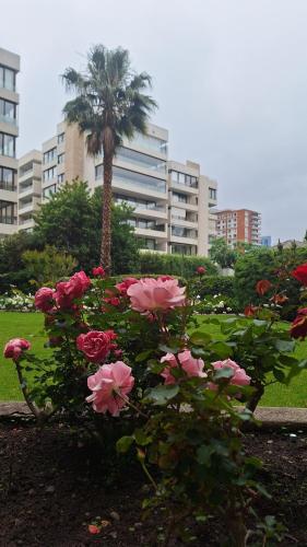 a bunch of pink roses in a park with a palm tree at Full departamento, Metro Manquehue, Las Condes in Santiago