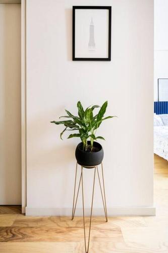 a plant sitting on a stand in a room at A Hip Modern Gem in El Centro! in Mexico City