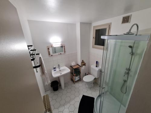 a bathroom with a shower and a sink and a toilet at Deux pièces terrasse in Moret-sur-Loing