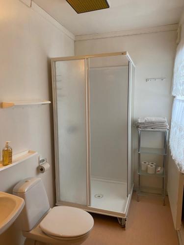 a bathroom with a shower with a toilet and a sink at Gardermoen House in Gardermoen