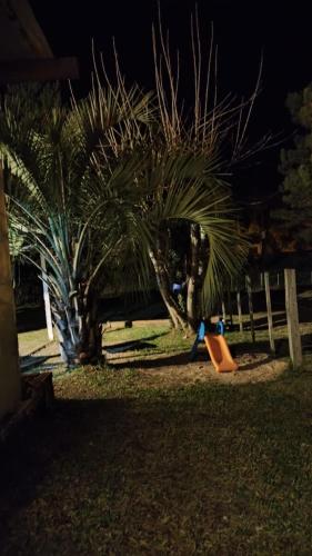 un parque infantil con una palmera y un tobogán en Espacio Joseana, en Rivera