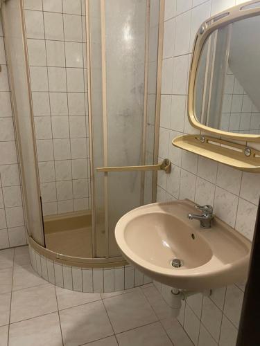 y baño con ducha y lavamanos. en Penzion na Bystřici, en Miletín