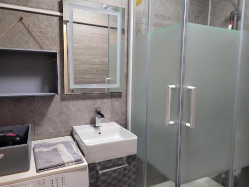 La salle de bains est pourvue d'un lavabo et d'une douche en verre. dans l'établissement STUDIO plein sud "Les Arolles" Balcon de VILLARD DE LANS, à Villard-de-Lans