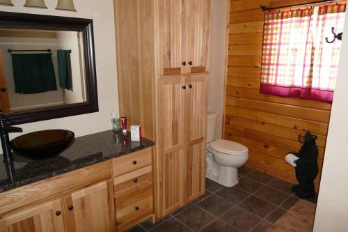 a bathroom with a toilet and a sink and a mirror at Mountain Maryland! Bear in the Woods in Grantsville