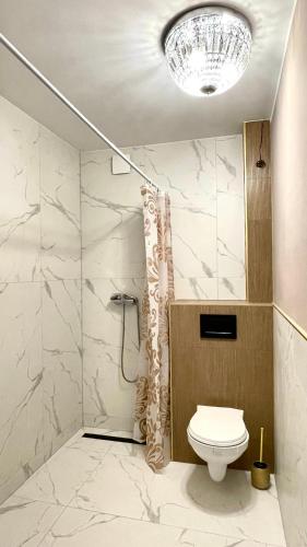 La salle de bains est pourvue d'une douche et de toilettes. dans l'établissement Beautiful rooms in Szczecin - parking Gratis, à Szczecin