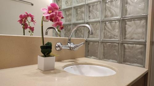 La salle de bains est pourvue d'un lavabo et d'un vase de fleurs. dans l'établissement Coral, à Puerto