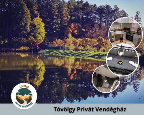 Pécsvárad的住宿－Tóvölgy Privát Vendégház，湖上树木的船只的照片