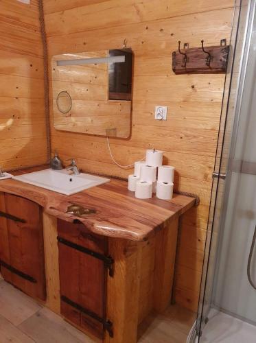a bathroom with a sink and a mirror at Sloneczna Osada 2 in Kowary