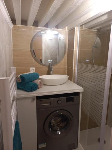 ein Badezimmer mit einem Waschbecken und einer Waschmaschine in der Unterkunft Le Belvédère de la grand croix dans le chateau d'uriage in Saint-Martin-dʼUriage