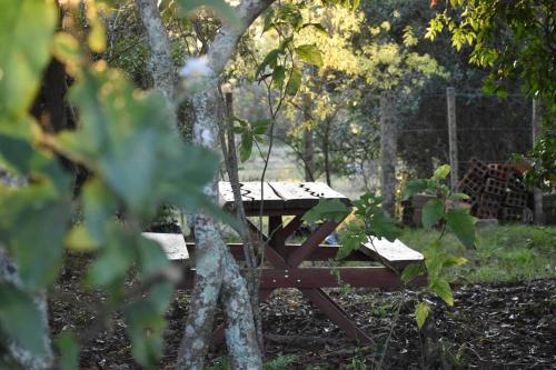 una mesa de picnic en medio de un parque en El Albergue del Paso Polo (Quebrada de los Cuervos), en Isla Patrulla