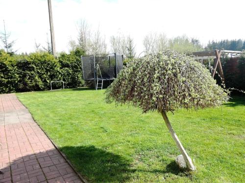a small tree in the grass in a yard at Cozy holiday home 600m from the lake in Kolczewo in Kołczewo