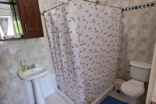 y baño con cortina de ducha, aseo y lavamanos. en Casa Campestre para relajarse en Armenia