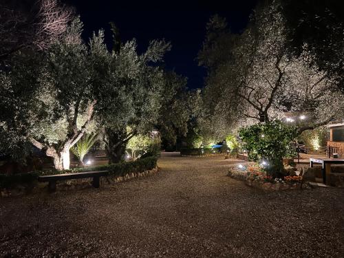 a park with a bench and trees at night at Complejo Rural Mirador de la Alcaidía in Hornachuelos
