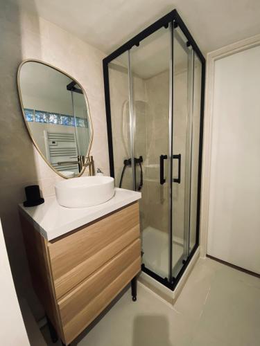 une salle de bain avec un lavabo et un miroir dans l'établissement Duplex au centre de Wimereux et proche de la mer, à Wimereux