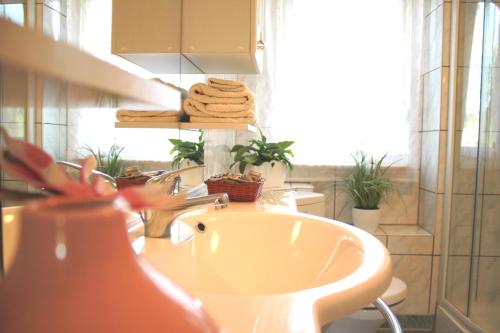 a bathroom with a sink and some plants and a window at Ferienhaus Harzblick in Güntersberge