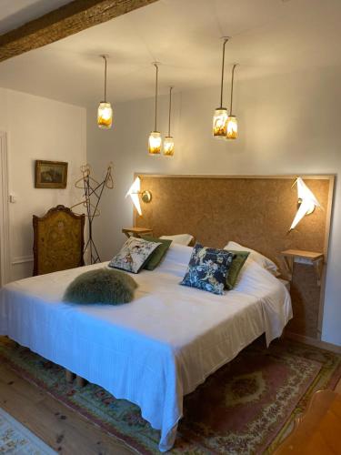 Valsonne的住宿－Le Chatel en Beaujolais，卧室配有一张带两个枕头的大白色床