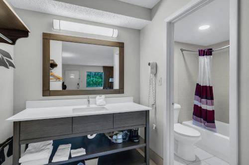 a bathroom with a sink and a mirror and a toilet at Red Roof Inn MacClenny in Macclenny