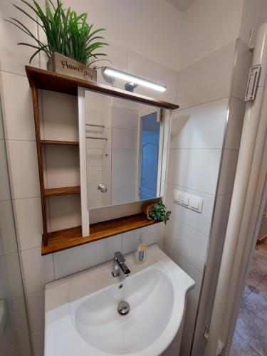 a bathroom with a sink and a mirror at Ildi's Apartment in Pécs