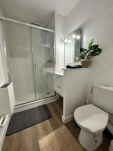 une salle de bain blanche avec douche et toilettes dans l'établissement IMEPA Appart 47m2/ Beau 2 pièces, à Rouen