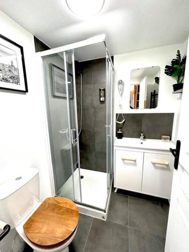 une salle de bain avec une douche, des toilettes et un lavabo dans l'établissement N3 Le Colvert - La Maison Sévigné Appart Hôtel, à Béthune