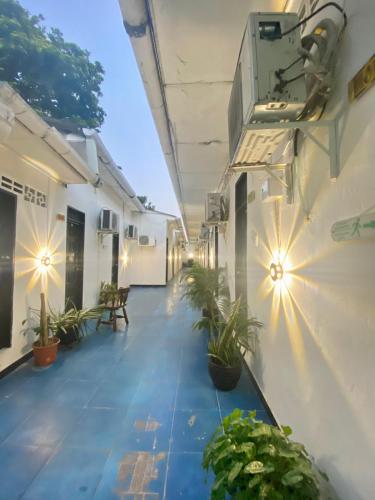 einem Korridor eines Gebäudes mit Topfpflanzen und Leuchten in der Unterkunft HOTEL SANTA MONICA in Barranquilla