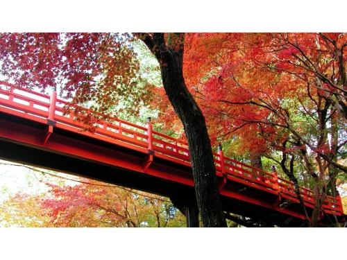 a red bridge in a park with trees at Asanoya - Vacation STAY 01715v in Shinonsen