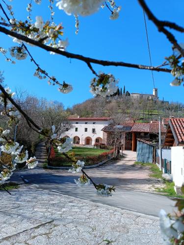 a building with a hill in the background with white flowers at B&B CA PANISACCO in Valdagno