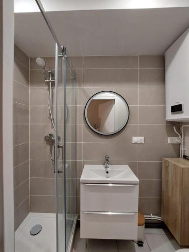 une salle de bain avec une douche, un lavabo et un miroir dans l'établissement Apt Lyon Flachet, à Villeurbanne