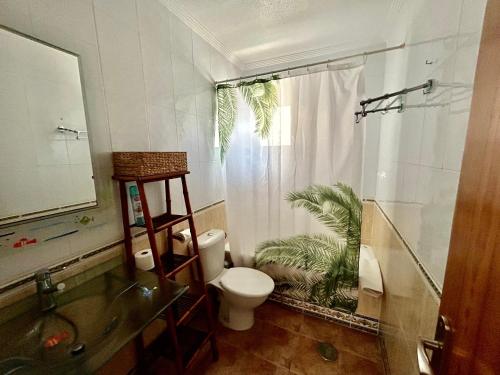 een badkamer met een toilet, een douche en een wastafel bij Gran Alacant Bea's house in Gran Alacant