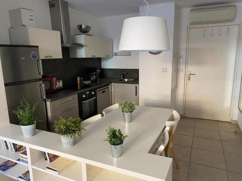 eine Küche mit einem weißen Tisch mit Pflanzen drauf in der Unterkunft Appartement climatisé 50m2 centre du village in Porquerolles