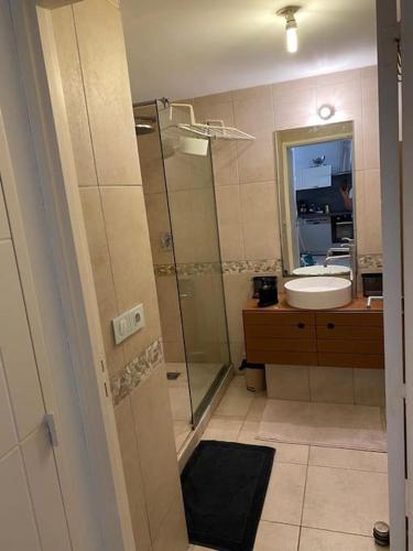une salle de bain avec une douche en verre et un lavabo dans l'établissement Appartement climatisé 50m2 centre du village, à Porquerolles