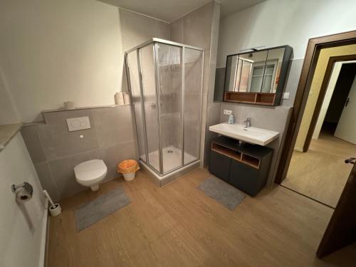 een badkamer met een douche, een toilet en een wastafel bij II Apartment Dingolfing Ferienwohnung Kronwieden II in Loichinger Mühle