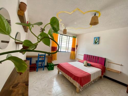 a bedroom with a bed and a plant in it at Casa EL Mundo in Oaxaca City