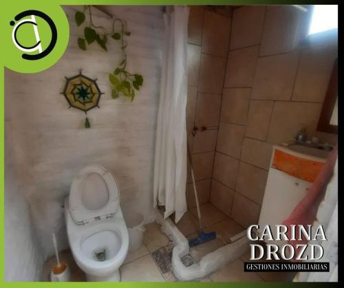 a bathroom with a toilet and a sink at RAMA GUEST HOUSE in Ciudad Lujan de Cuyo