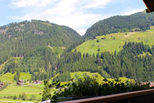 a view of a valley with green hills and trees at OLYMPIA Privathotel Garni in Sankt Jakob in Defereggen