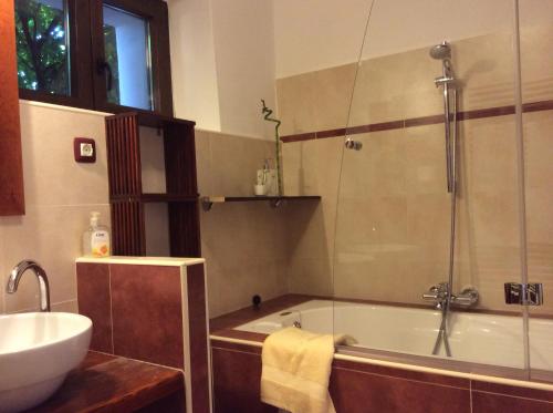 a bathroom with a bath tub and a sink at Juli's Place in Rovinjsko Selo