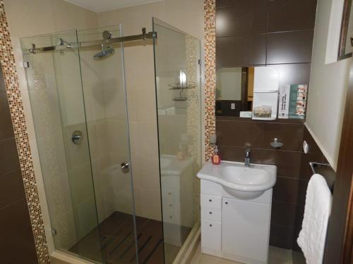 a bathroom with a glass shower and a sink at HOTEL en el CENTRO HISTORICO in Cuenca