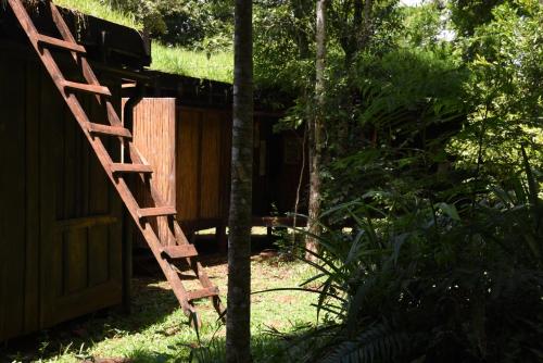 Yerbas del Paraiso – Photos 2