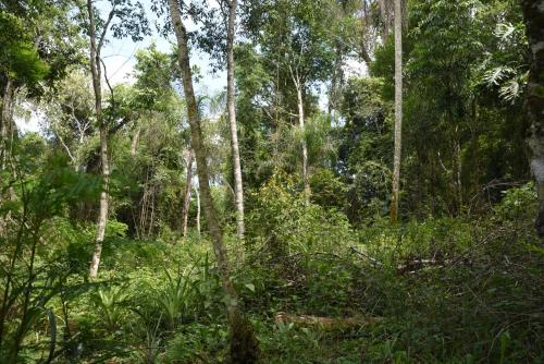 Yerbas del Paraiso – Photos 3