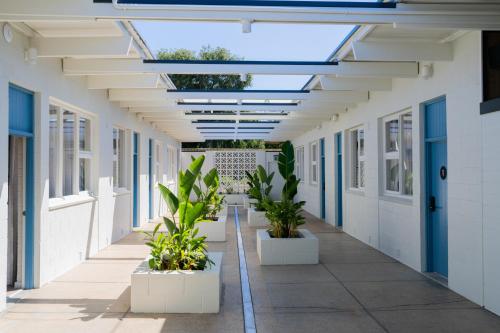 un couloir d'un bâtiment avec des portes et des plantes bleues dans l'établissement The Clovercrest Hotel Motel, à Modbury