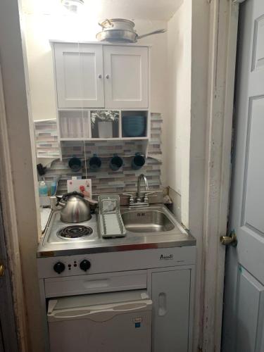 a small kitchen with a stove and a sink at Misty Blue in Brooklyn